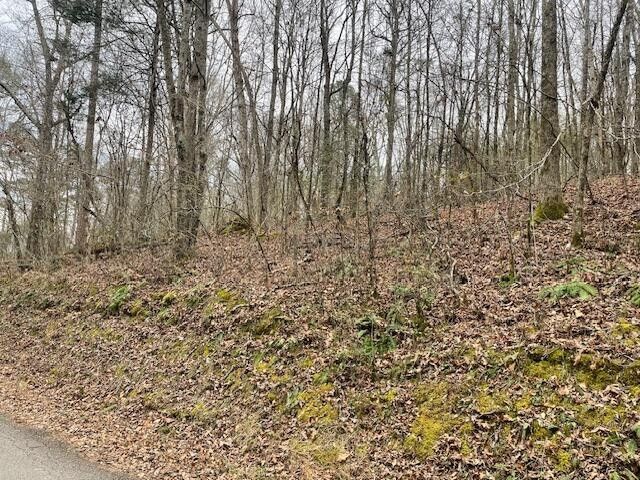0 Wooten Lane, Chickamauga, GA 30707