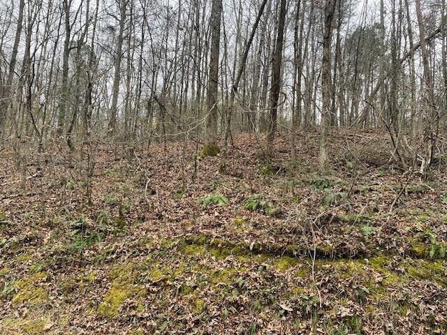 0 Wooten Lane, Chickamauga, GA 30707