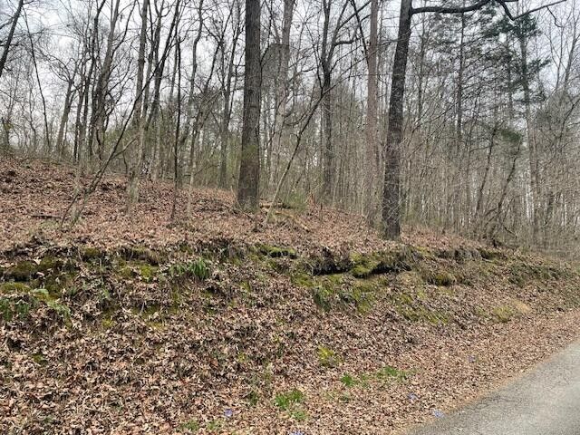 0 Wooten Lane, Chickamauga, GA 30707