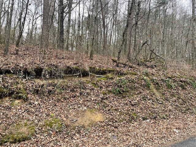 0 Wooten Lane, Chickamauga, GA 30707