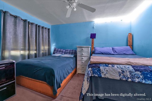 264 Chester Street, Brooklyn, NY 11212