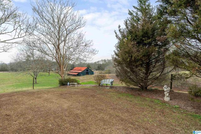 2310 MINERAL SPRINGS ROAD, Pell City, AL 35125