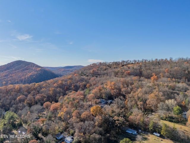 516 Henderson St, Harriman, TN 37748