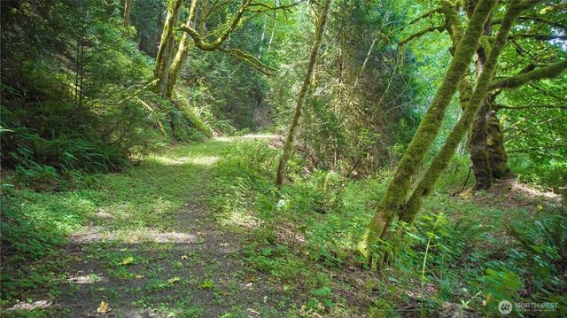591 Casera Drive, Quilcene, WA 98376