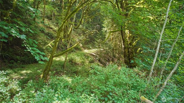 591 Casera Drive, Quilcene, WA 98376