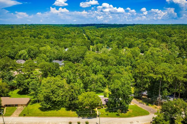458 E Lake Drive, Livingston, TX 77351