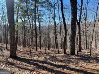 47 Bell Flower Drive, Jasper, GA 30143