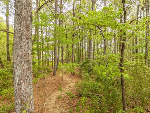 4880 Rosewood Lake Drive, Cumming, GA 30040