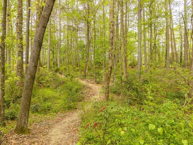 4880 Rosewood Lake Drive, Cumming, GA 30040