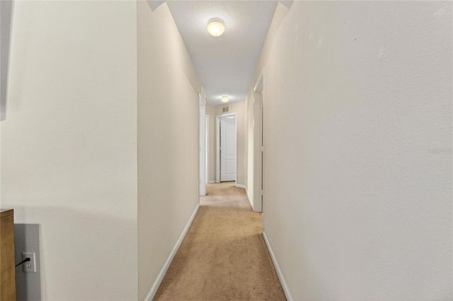 13307 AMBER SKY PLACE, Riverview, FL 33579