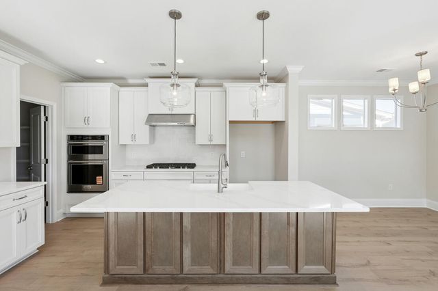 244 Newsday Street, Charleston, SC 29492