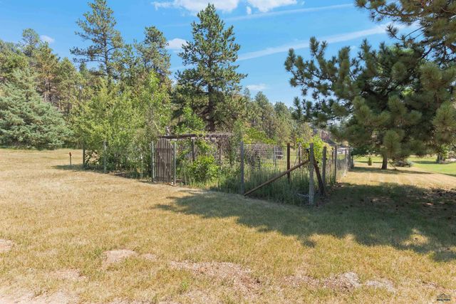 10311 PINE CANYON RD, Black Hawk, SD 57718