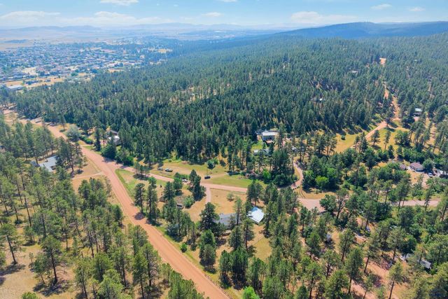 10311 PINE CANYON RD, Black Hawk, SD 57718