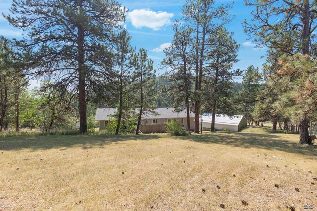 10311 PINE CANYON RD, Black Hawk, SD 57718