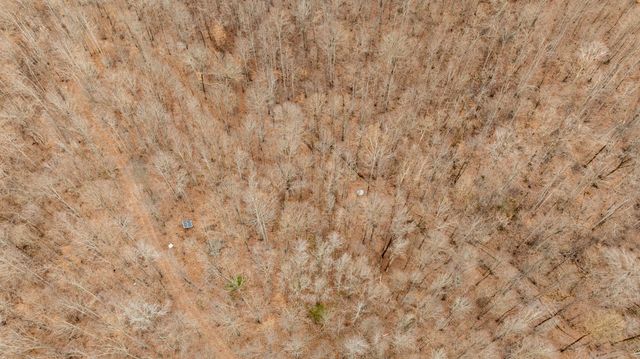 4561 Mayberry Prong Rd, Linden, TN 37096