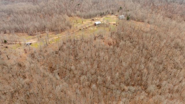 4561 Mayberry Prong Rd, Linden, TN 37096