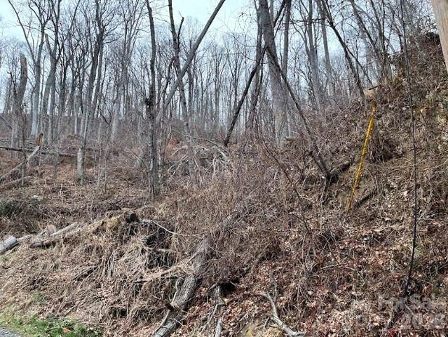 65 Weeping Cherry Forest Road, Fairview, NC 28730