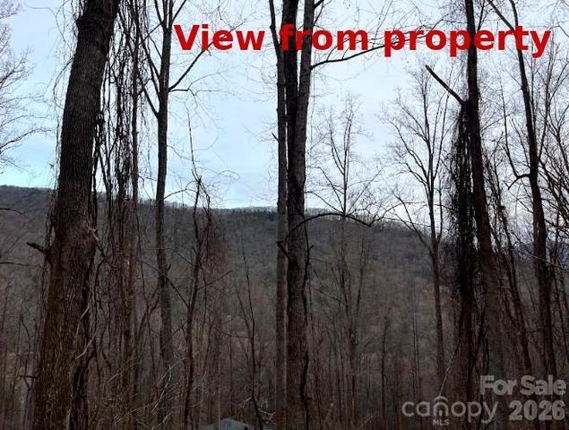 65 Weeping Cherry Forest Road, Fairview, NC 28730