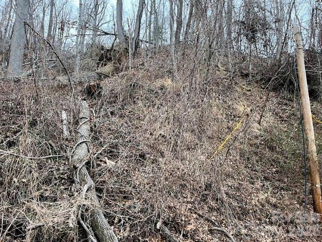 65 Weeping Cherry Forest Road, Fairview, NC 28730