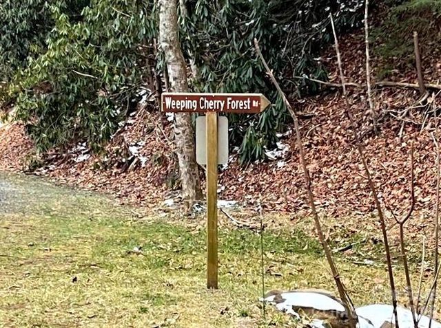 65 Weeping Cherry Forest Road, Fairview, NC 28730