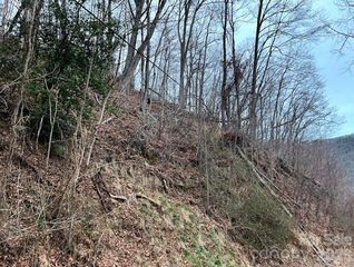 65 Weeping Cherry Forest Road, Fairview, NC 28730