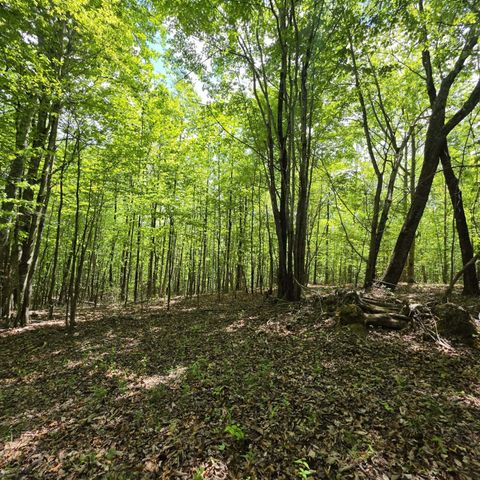 Lot 15b Cluck Cove Road, South Pittsburg, TN 37380