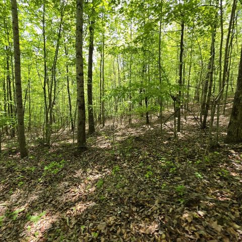Lot 15b Cluck Cove Road, South Pittsburg, TN 37380