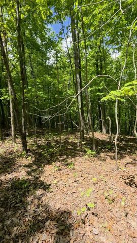 Lot 15b Cluck Cove Road, South Pittsburg, TN 37380