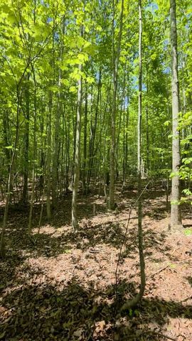 Lot 15b Cluck Cove Road, South Pittsburg, TN 37380