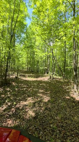 Lot 15b Cluck Cove Road, South Pittsburg, TN 37380