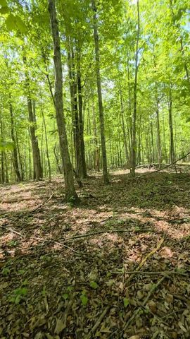 Lot 15b Cluck Cove Road, South Pittsburg, TN 37380