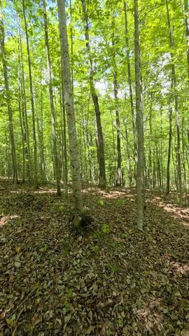 Lot 15b Cluck Cove Road, South Pittsburg, TN 37380