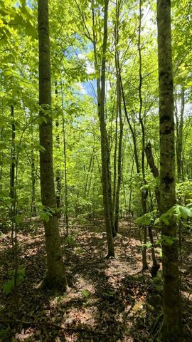 Lot 15b Cluck Cove Road, South Pittsburg, TN 37380