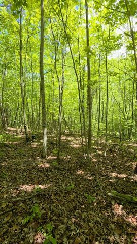 Lot 15b Cluck Cove Road, South Pittsburg, TN 37380