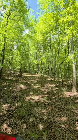 Lot 15b Cluck Cove Road, South Pittsburg, TN 37380