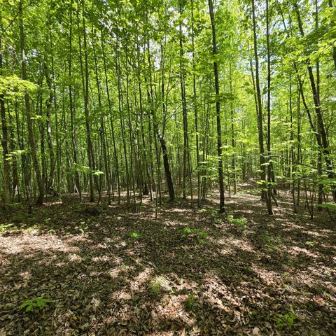 Lot 15b Cluck Cove Road, South Pittsburg, TN 37380