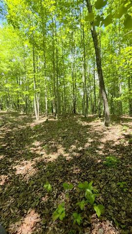 Lot 15b Cluck Cove Road, South Pittsburg, TN 37380