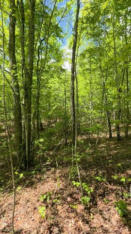 Lot 15b Cluck Cove Road, South Pittsburg, TN 37380