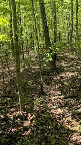 Lot 15b Cluck Cove Road, South Pittsburg, TN 37380
