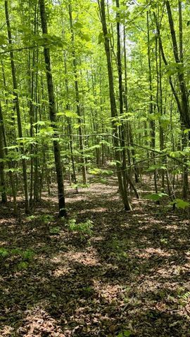 Lot 15b Cluck Cove Road, South Pittsburg, TN 37380