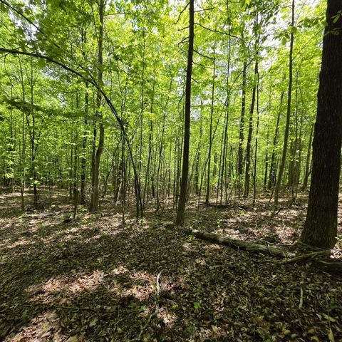 Lot 15b Cluck Cove Road, South Pittsburg, TN 37380