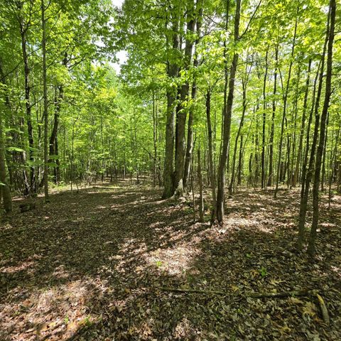 Lot 15b Cluck Cove Road, South Pittsburg, TN 37380