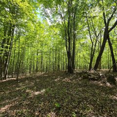 Lot 15b Cluck Cove Road, South Pittsburg, TN 37380