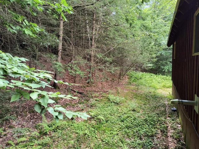 55 Hallwood Drive, Surry, NH 03431