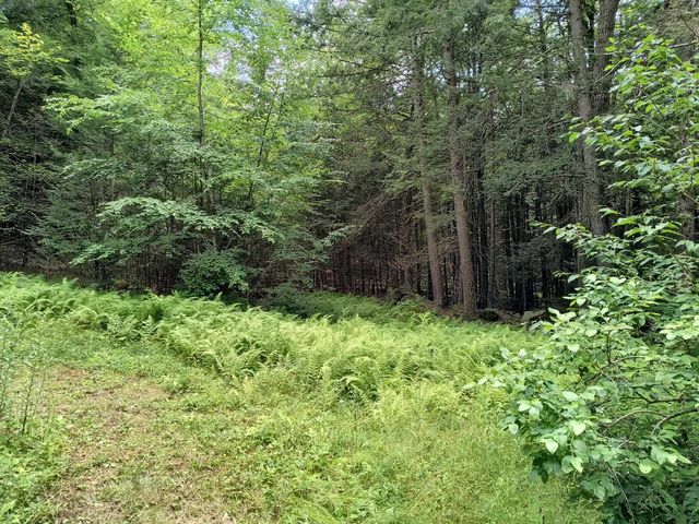 55 Hallwood Drive, Surry, NH 03431