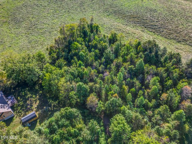 124 Leedy Lane, Jonesborough, TN 37659
