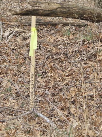 0 Nashville Hwy, Lewisburg, TN 37091