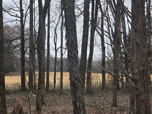 0 Nashville Hwy, Lewisburg, TN 37091