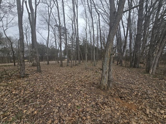 0 Nashville Hwy, Lewisburg, TN 37091