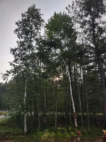 TBD Lynx Road, Barnes, WI 54837